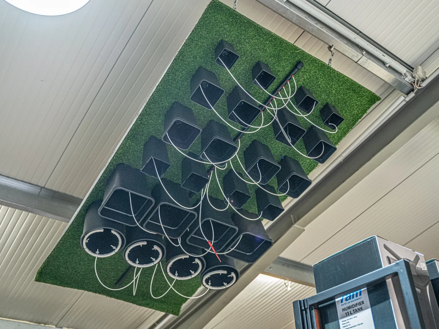 Ebb-Flood-Topf-System an der Teststation bei The Jungle Dortmund