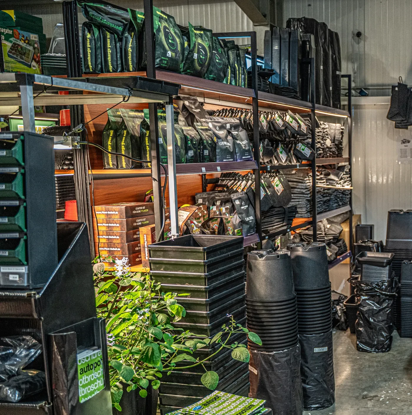 Grow-Substrate und Töpfe im Sortiment bei The Jungle in Dortmund