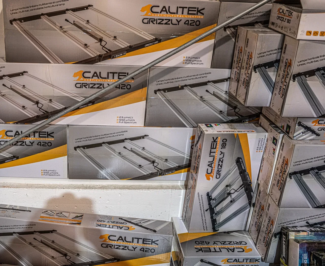 Calitek Grizzly LED-Grow-Leuchten im Regal bei The Jungle in Dortmund
