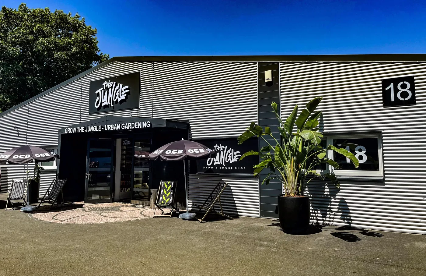 Eingang des The Jungle Growshop in der Eberstr. 18 in Dortmund-Nord