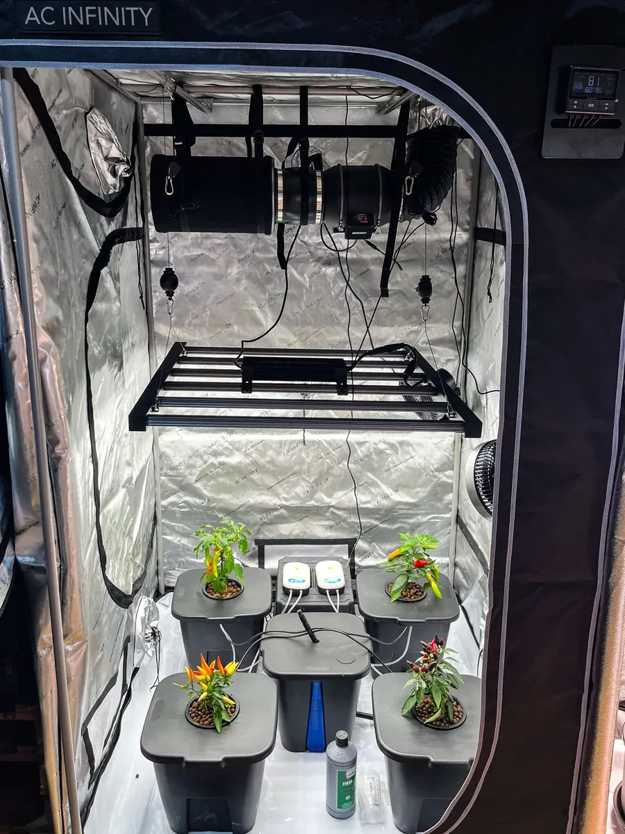 Aufgebaute Growbox zum Reinschauen