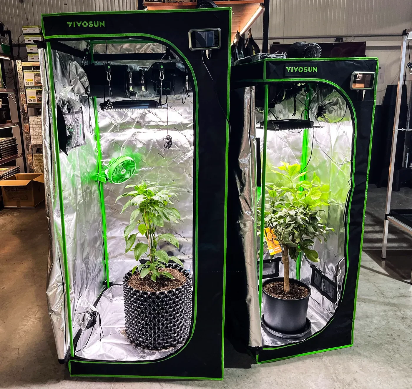 VIVOSUN Grow-Zelte mit Pflanzen